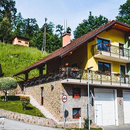Apartmaji Krebs Mezica المظهر الخارجي الصورة
